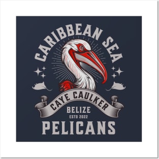 Pelicans from Belize Posters and Art